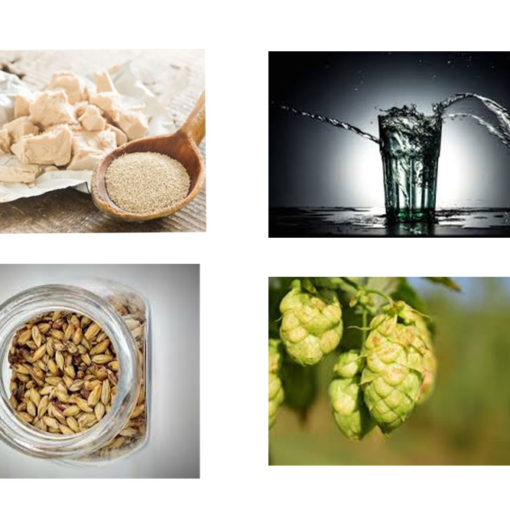 ingredienti birra